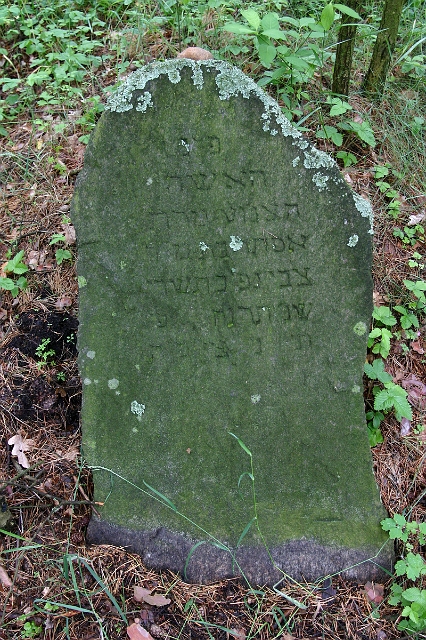 1897 IMG_0426.jpg - Here lies the modest woman, Esther the daughter of  Tzvi; died 20th of  Tishrei 5658 - Oct. 16th, 1897.  (IMG_0426.jpg)